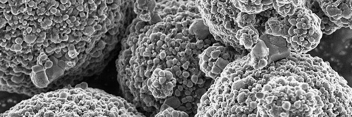 Aufnahme REM (Rasterelektronenmikroskop) Lithium-Mangan-Eisenphosphat IBUvolt® LMFP